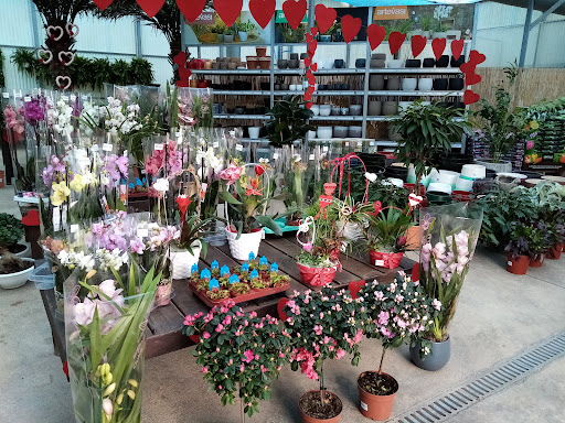 Garden Center Navarro
