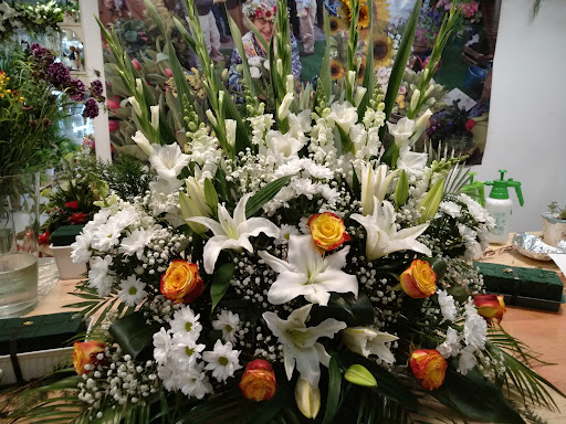 Floristería El Bosque de Marie