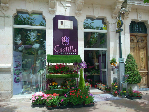 Castilla Floristería