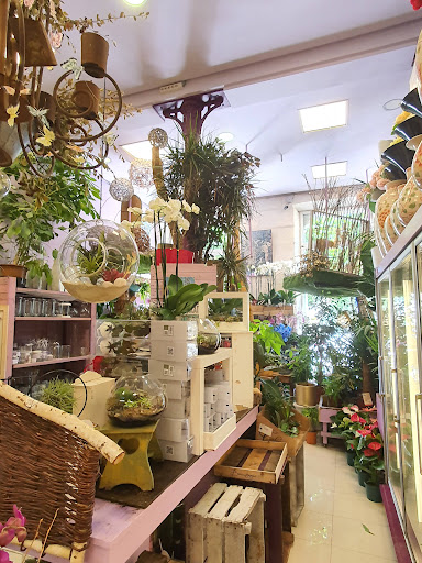 Castilla Floristería