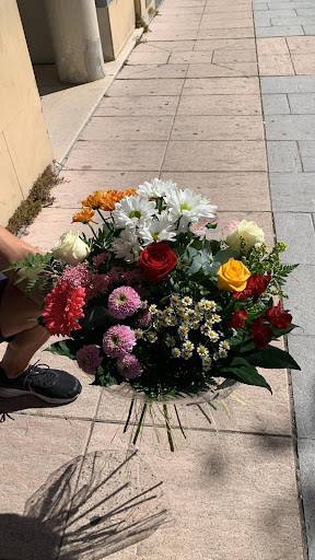 Floristería Érica - Burgos