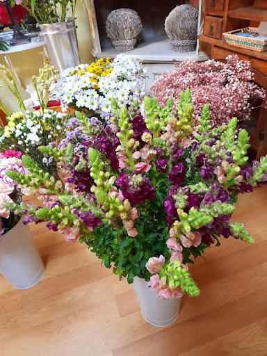 Floristería Casa Jardín