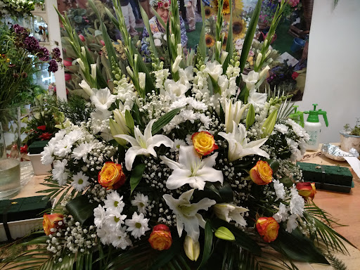 Floristería El Bosque de Marie