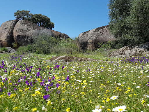 Monumento Natural Los Barruecos