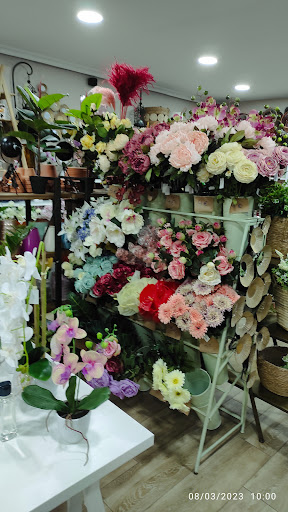 Floristería Y Loterías Soraya