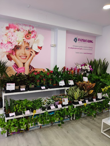 FLOWERING floristería