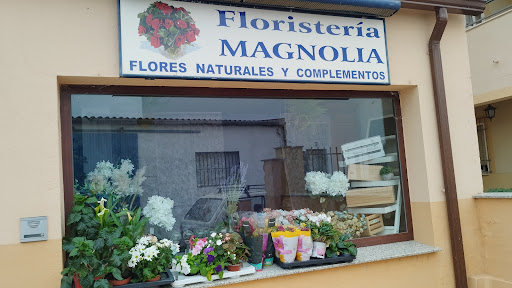 Floristeria Magnolia