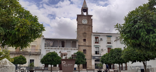 Ceclavín