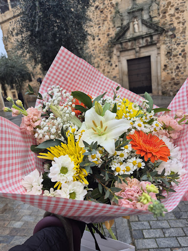 Floristería Becedas Cáceres