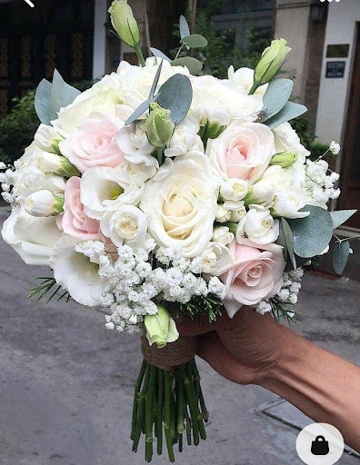 Flores Y Plantas Juanvic