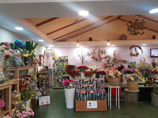 Viveros y Floristería Becedas