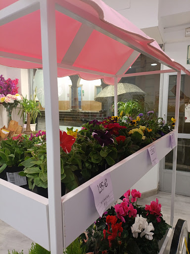 FLOWERING floristería