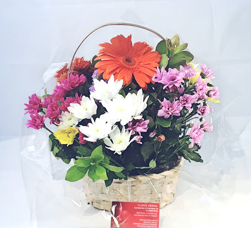 Floristería HERVAL, Cañaveral