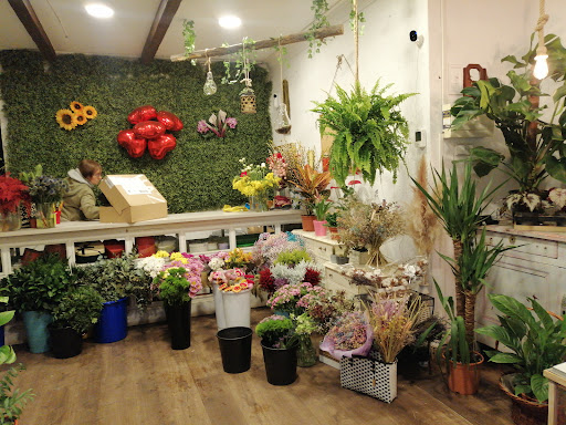 Floristería MiPiti