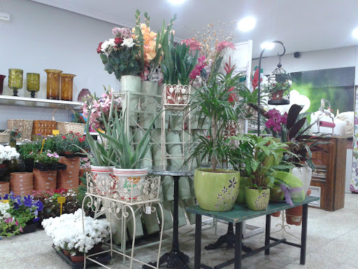 Floristería Y Loterías Soraya